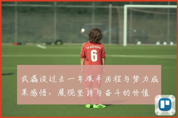 武磊谈过去一年艰辛历程与努力成果感悟，展现坚持与奋斗的价值